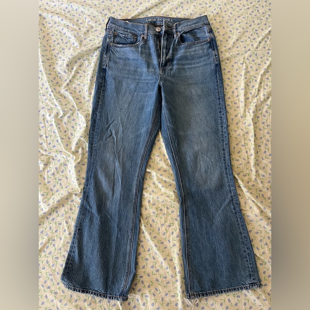 American Eagle Outfitters Blue Flare Wide Leg Jeans